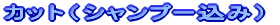 �J�b�g�i�V�����v�[���݁j 